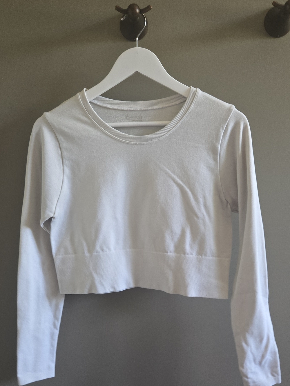 aerie White Long Sleeve Cropped Top